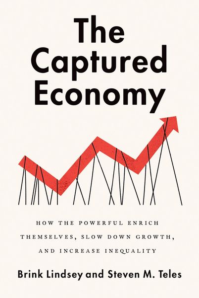 Produktbild: The Captured Economy