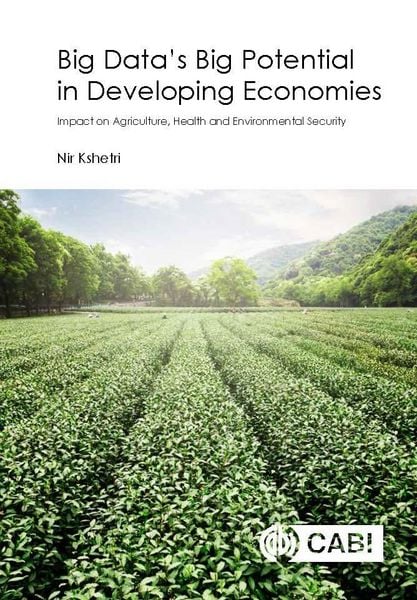 Produktbild: Big Data's Big Potential in Developing Economies