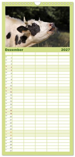 Produktbild: Familienplaner 2027 - Muuuhhh! mit 5 Spalten (Wandkalender, 21 x 45 cm) CALVENDO