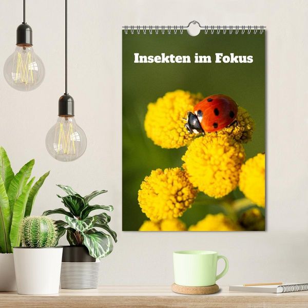Produktbild: Insekten im Fokus (Wandkalender 2026 DIN A4 hoch), CALVENDO Monatskalender
