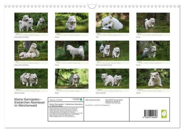 Produktbild: Kleine Samojeden - Eisb&auml;rchen Abenteuer im M&auml;rchenwald (Wandkalender 2026 DIN A3 quer), CALVENDO Monatskalender