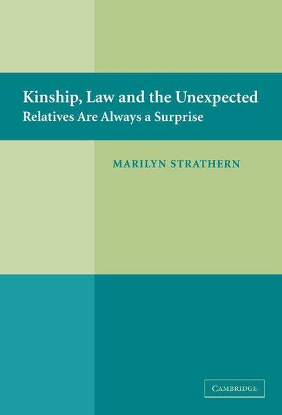 Produktbild: Kinship, Law and the Unexpected