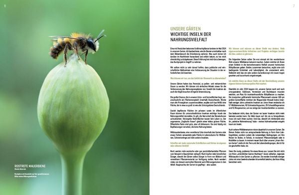 Produktbild: Wildbienenhelfer