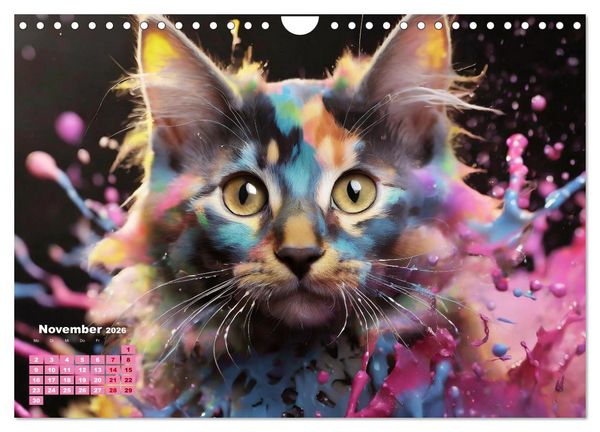 Produktbild: Splash - Katzen im Farbrausch (Wandkalender 2026 DIN A4 quer), CALVENDO Monatskalender