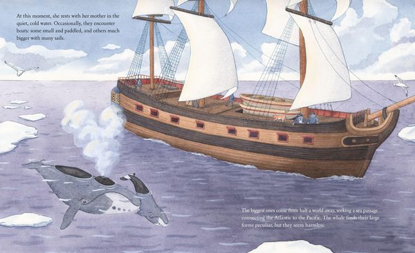 Produktbild: The Whale Who Swam Through Time