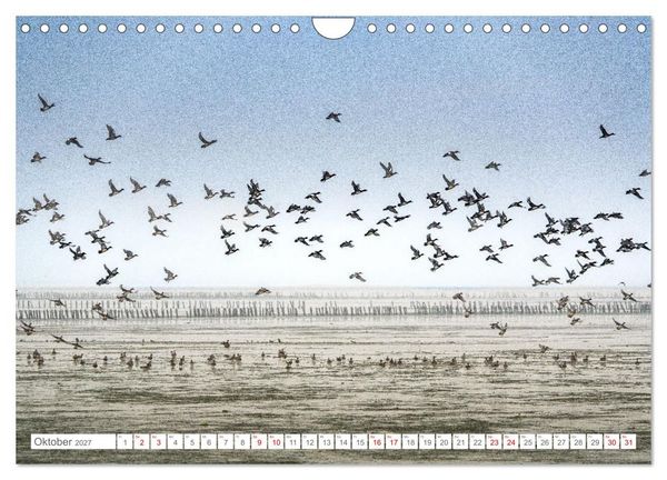 Produktbild: Naturerlebnis R&oslash;m&oslash; (Wandkalender 2027 DIN A4 quer), CALVENDO Monatskalender