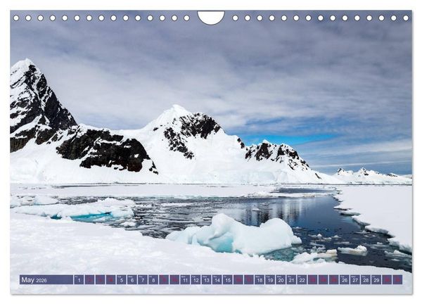 Produktbild: Antarctica Glaciers, seals and penguins (Wall Calendar 2026 DIN A4 landscape), CALVENDO 12 Month Wall Calendar