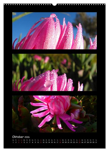 Produktbild: ZAUBERWELT DER BLUMEN - EISKRISTALLE & WASSERPERLEN (Wandkalender 2026 DIN A2 hoch), CALVENDO Monatskalender
