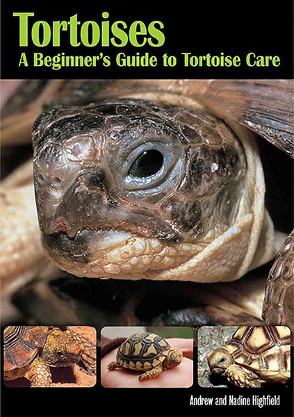 Produktbild: Tortoises Beginners GT Tortoise Care: How to Set Up a Home for a New Tortoise and Provide It the Best Possible Care