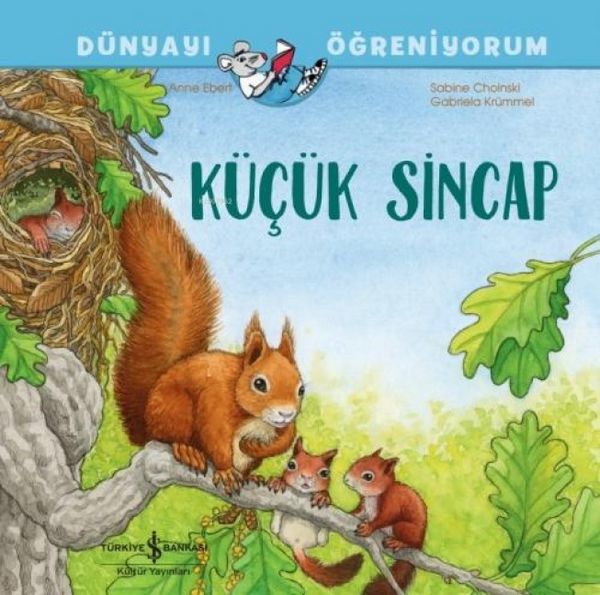 Produktbild: K&uuml;c&uuml;k Sincap D&uuml;nyayi &Ouml;greniyorum