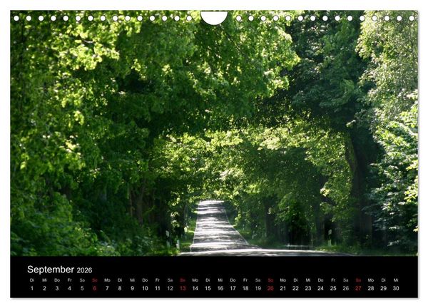 Produktbild: R&Uuml;GEN (Wandkalender 2026 DIN A4 quer), CALVENDO Monatskalender