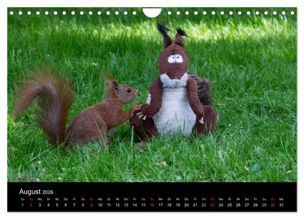 Produktbild: Mit dem Eichh&ouml;rnchen durchs Jahr (Wandkalender 2026 DIN A4 quer), CALVENDO Monatskalender