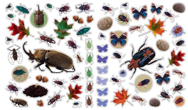 Produktbild: Eyelike Stickers: Bugs