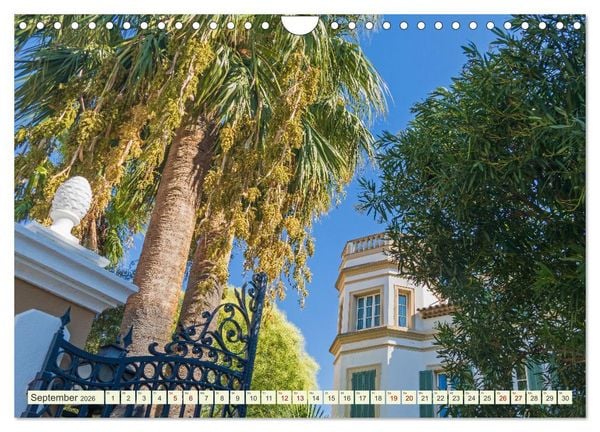Produktbild: Mediterrane Flora - Pflanzen des S&uuml;dens (Wandkalender 2026 DIN A4 quer), CALVENDO Monatskalender