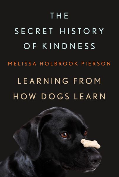 Produktbild: The Secret History of Kindness