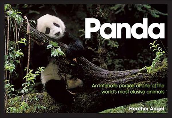 Produktbild: Panda