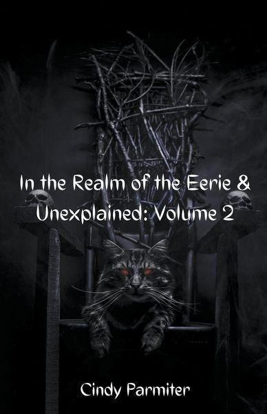Produktbild: In The Realm of the Eerie & Unexplained