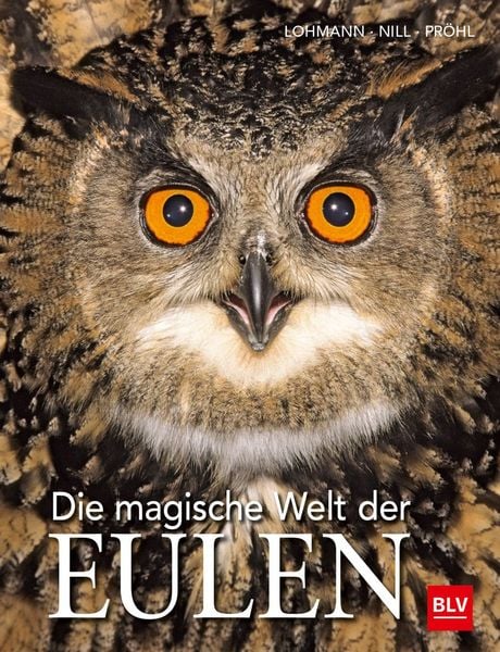Produktbild: Die magische Welt der Eulen