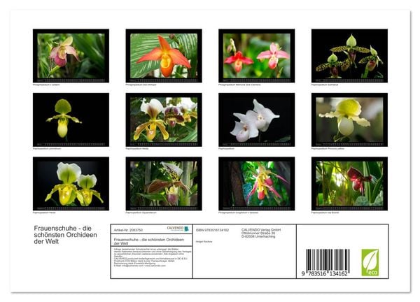 Produktbild: Frauenschuhe - die sch&ouml;nsten Orchideen der Welt (Wandkalender 2026 DIN A4 quer), CALVENDO Monatskalender