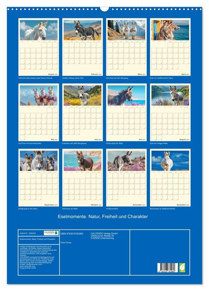 Produktbild: Eselmomente. Natur, Freiheit und Charakter (Wandkalender 2027 DIN A2 hoch), CALVENDO Monatskalender