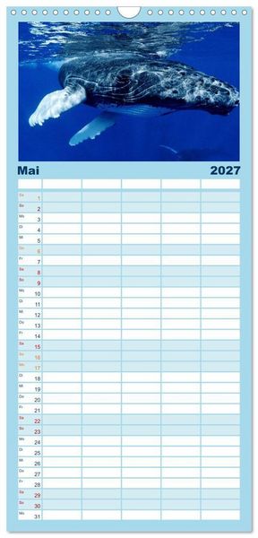 Produktbild: Familienplaner 2027 - Delfine und Wale mit 5 Spalten (Wandkalender, 21 x 45 cm) CALVENDO