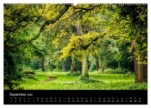Produktbild: Mannheimer Waldpark (Wandkalender 2026 DIN A2 quer), CALVENDO Monatskalender
