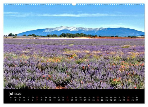 Produktbild: Lavande, l'or bleu de Provence (Calendrier mural 2026 DIN A2 vertical) calendrier de bureau