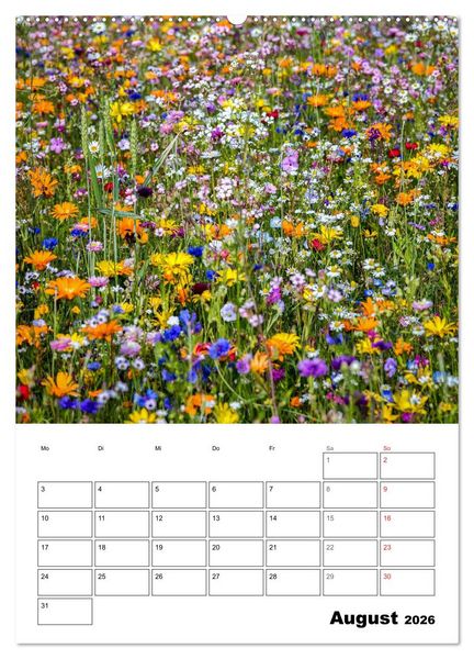 Produktbild: Farben der Natur (hochwertiger Premium Wandkalender 2026 DIN A2 hoch), Kunstdruck in Hochglanz