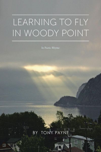 Produktbild: Learning To Fly In Woody Point