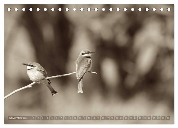 Produktbild: Botswana &ndash; Impressionen aus Afrika (Tischkalender 2026 DIN A5 quer), CALVENDO Monatskalender