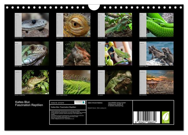 Produktbild: Kaltes Blut. Faszination Reptilien (Wandkalender 2026 DIN A4 quer), CALVENDO Monatskalender