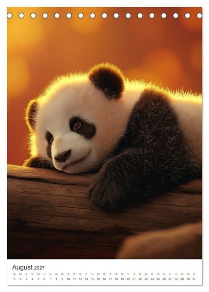 Produktbild: Panda Momente (Tischkalender 2027 DIN A5 hoch), CALVENDO Monatskalender