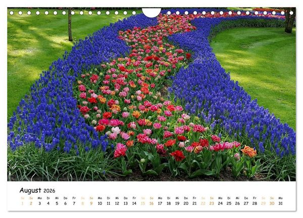 Produktbild: Auf Tour im Land der Tulpen (Wandkalender 2026 DIN A4 quer), CALVENDO Monatskalender