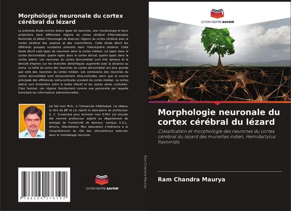 Produktbild: Morphologie neuronale du cortex c&eacute;r&eacute;bral du l&eacute;zard