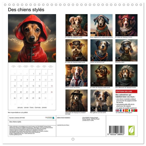 Produktbild: Des chiens styl&eacute;s (Calendrier mural carr&eacute; 2026 30x30 cm) Calendrier double avec une page pour vos prises de notes