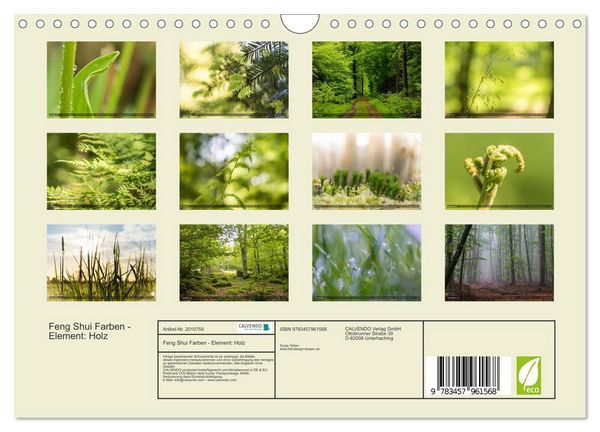 Produktbild: Feng Shui Farben - Element: Holz (Wandkalender 2026 DIN A4 quer), CALVENDO Monatskalender