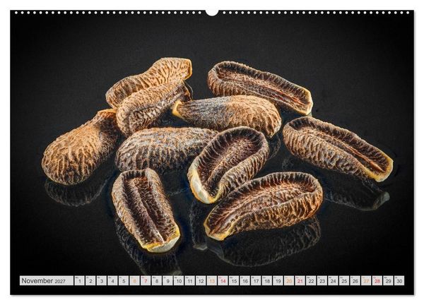 Produktbild: Zauber der kleinen Dinge (hochwertiger Premium Wandkalender 2027 DIN A2 quer), Kunstdruck in Hochglanz