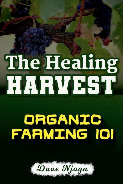 Produktbild: The Healing Harvest