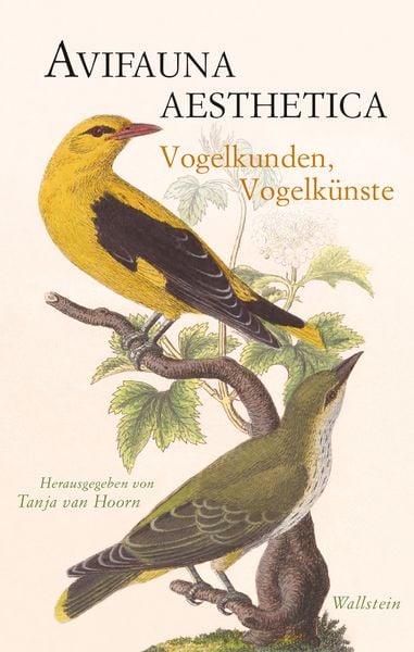 Produktbild: Avifauna aesthetica