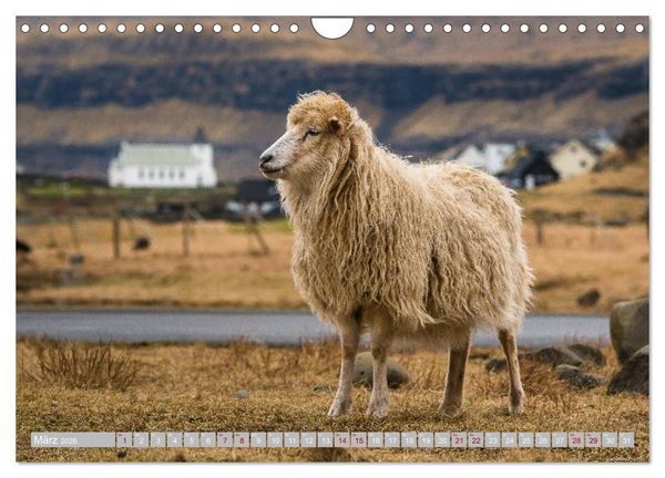 Produktbild: Traumlandschaft im Nordatlantik. F&auml;r&ouml;er Inseln (Wandkalender 2026 DIN A4 quer), CALVENDO Monatskalender