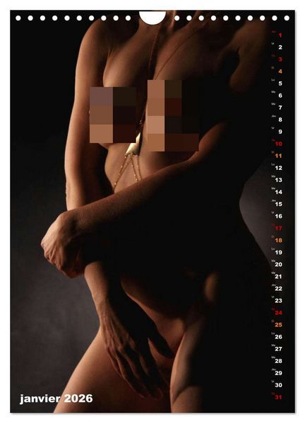 Produktbild: L'or nu (Calendrier mural 2026 DIN A4 horizontal), CALVENDO calendrier mensuel