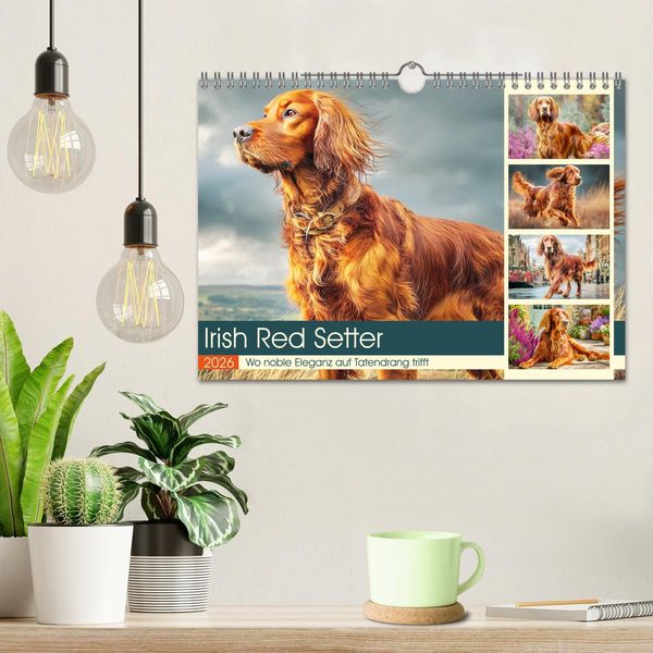 Produktbild: Irish Red Setter. Wo noble Eleganz auf Tatendrang trifft (Wandkalender 2026 DIN A4 quer), CALVENDO Monatskalender