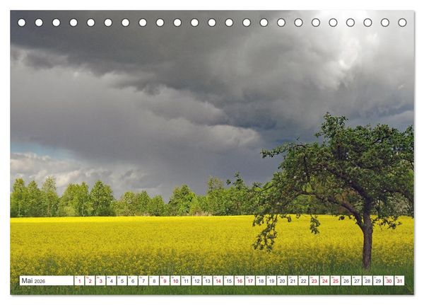 Produktbild: Wildes Wendland (Tischkalender 2026 DIN A5 quer), CALVENDO Monatskalender