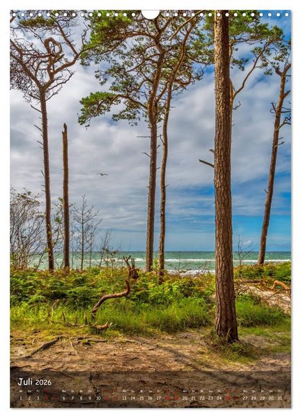Produktbild: Wunderbare Ostseelandschaft Fischland-Dar&szlig;-Zingst (Wandkalender 2026 DIN A3 hoch), CALVENDO Monatskalender