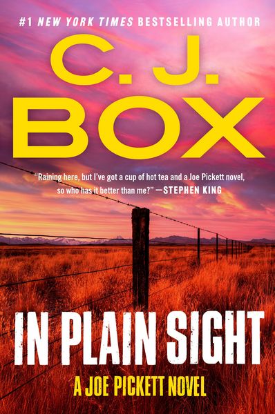 Produktbild: In Plain Sight