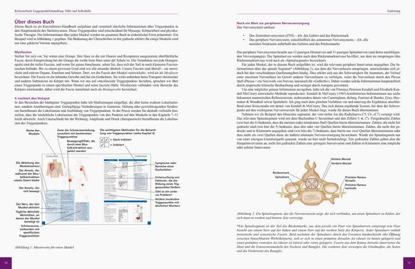 Produktbild: Referenzbuch Triggerpunkt Behandlung