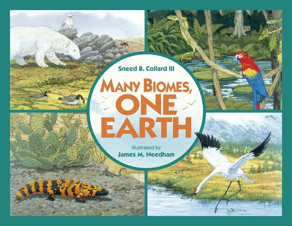 Produktbild: Many Biomes, One Earth