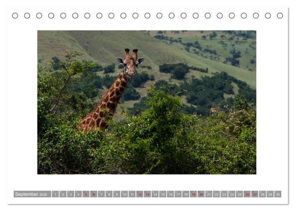 Produktbild: Ruanda (Tischkalender 2026 DIN A5 quer), CALVENDO Monatskalender