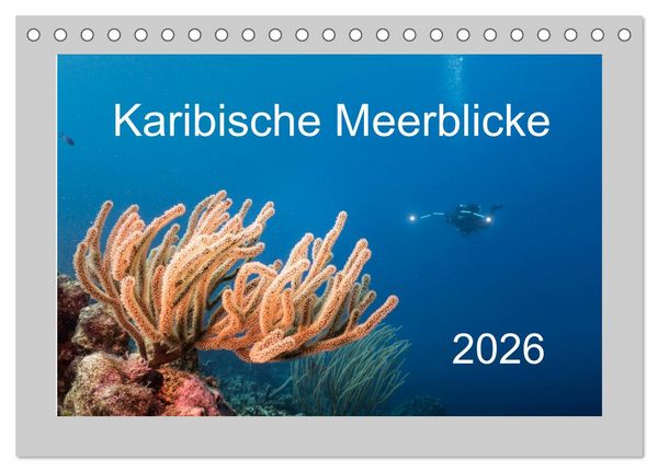 Karibische Meerblicke (Tischkalender 2026 DIN A5 quer), CALVENDO Monatskalender