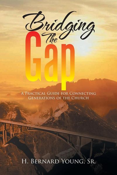 Produktbild: Bridging the Gap